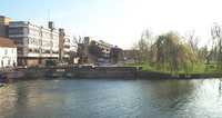  04-More of the Cam.jpg 